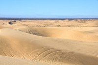 Glamis Jan 2013