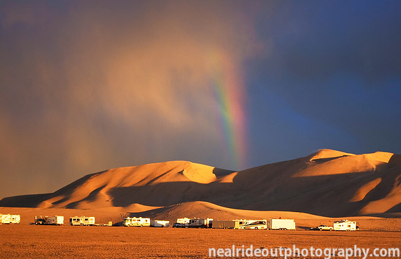 Sand Grooming